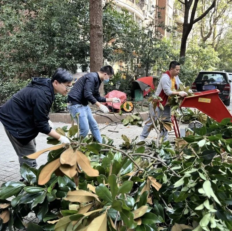 地方学习平台